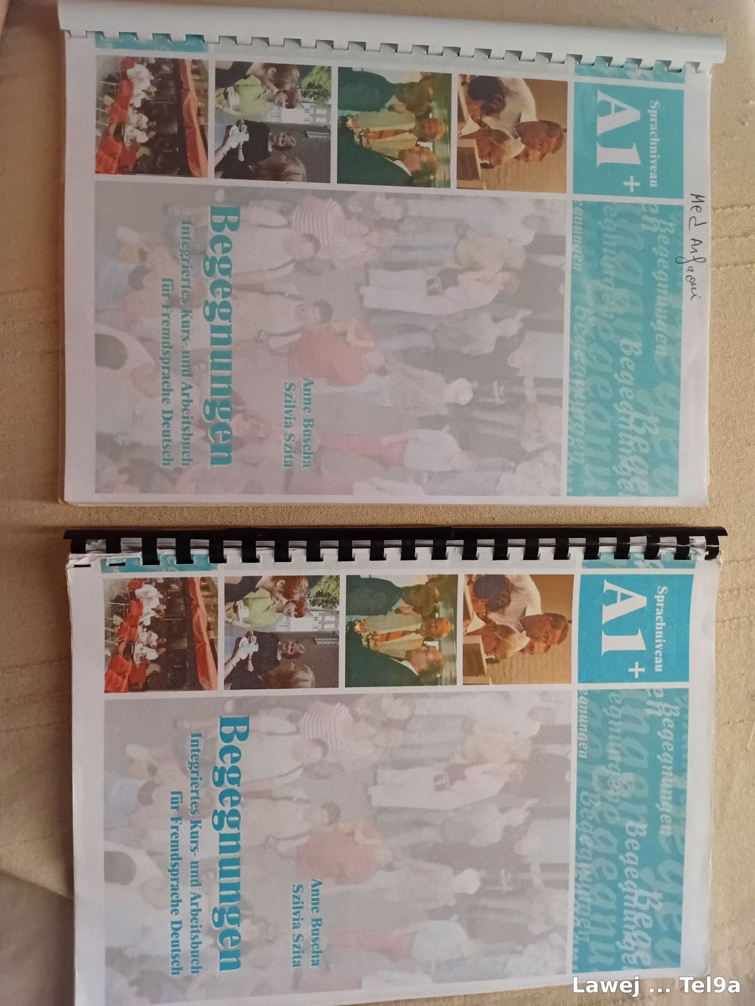 Je vends deux livres "Begegnungen A1